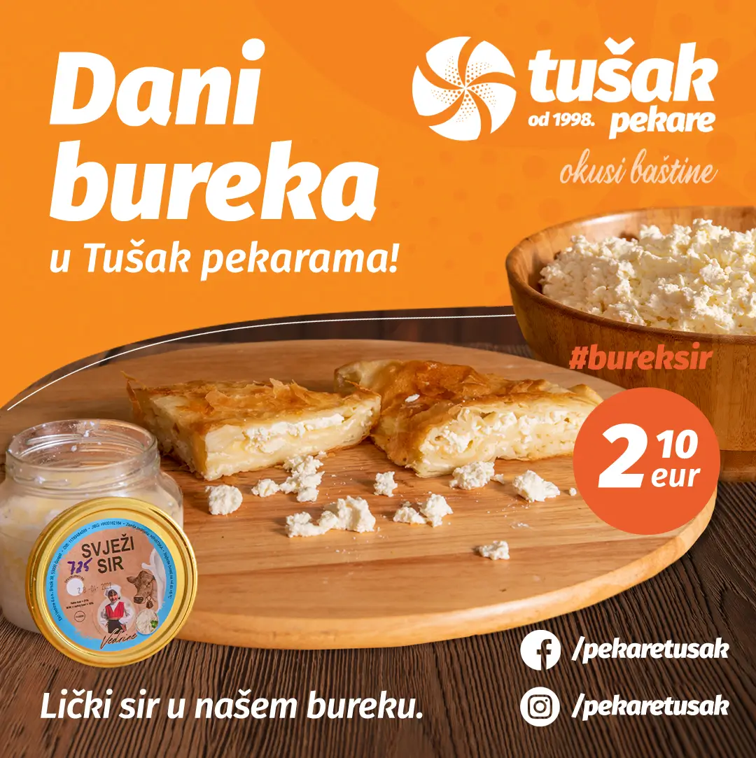 TU_Dani_bureka_sir_112024